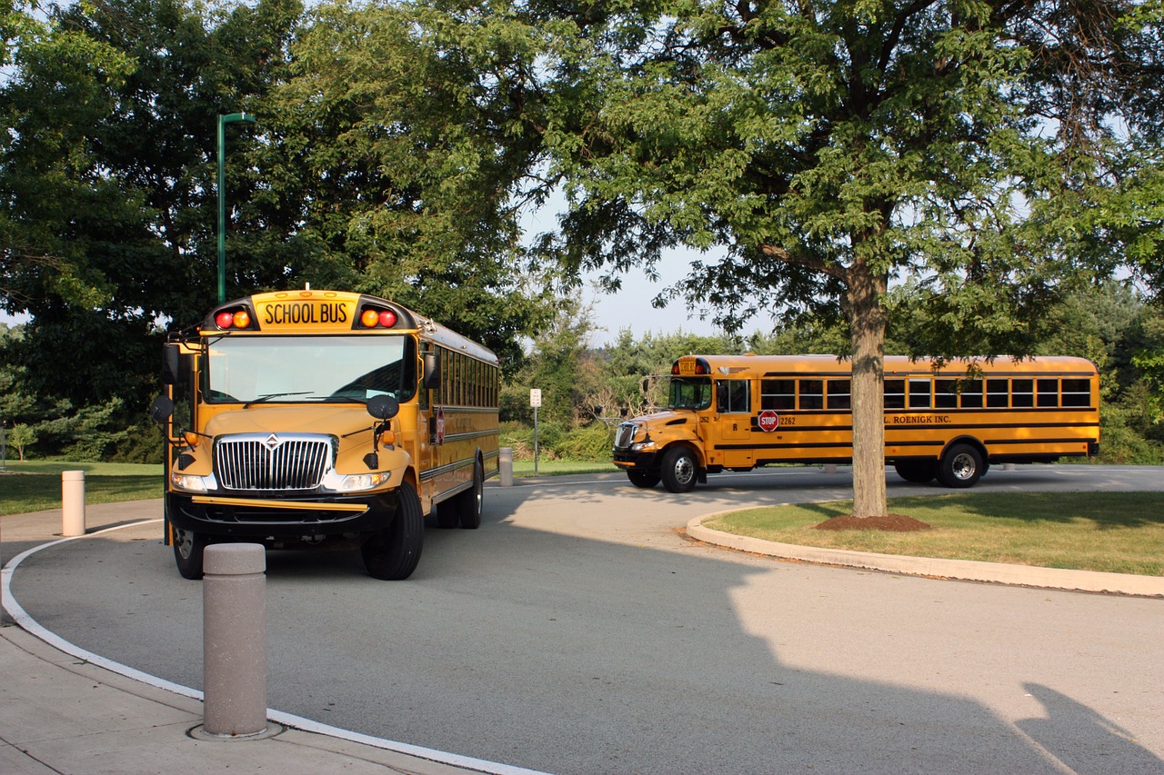 How Safe is the School Bus